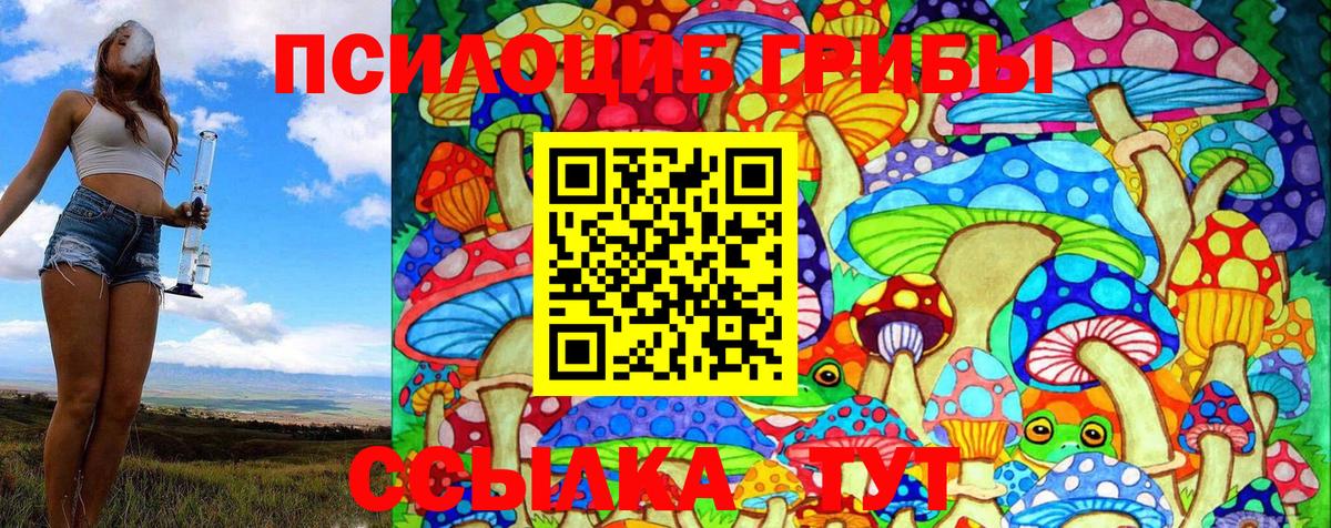 Псилоцибиновые грибы MAGIC MUSHROOMS Аксай