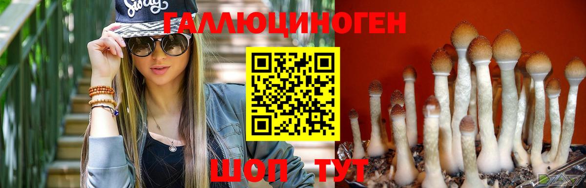Аксай  Псилоцибиновые грибы Psilocybe  Псилоцибиновые грибы ЛСД  Вход с VPN 