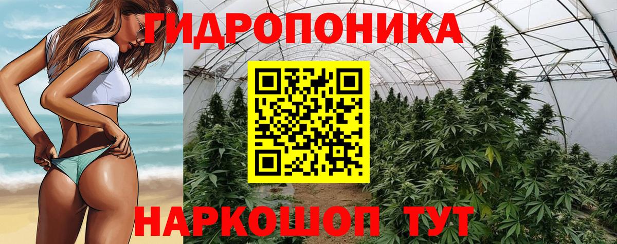 Аксай  Марихуана семена  Бошки Шишки план  Шишки марихуана план  Вход с VPN  Бошки марихуана Bruce Banner 